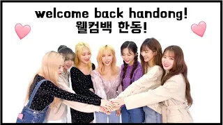 ✨ welcome back handong / 웰컴백 한동! ✨