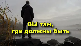 14 моментов доказывают, что вы именно там, где и должны быть в жизни.