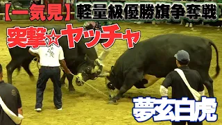 【一気見】第37回軽量級優勝旗争奪戦　天城町大会