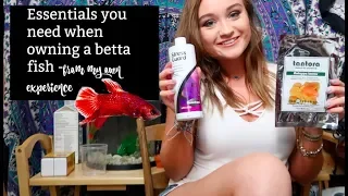 ESSENTIALS YOU NEED WHEN OWNING A BETTA FISH | from my experience | ItsAnnaLouise