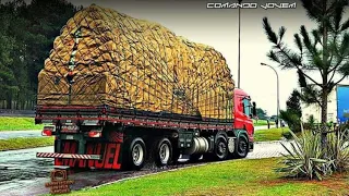 Quando Eu Crescer Eu Vou Ser Batateiro Também #video para status de caminhão