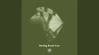 Darling Break Free (feat. Michael Kaneko)