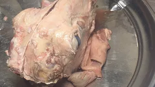 How To Make 3 different Dish From Lamb Head !!!!