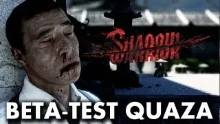 Shadow Warrior (2013) - beta-test quaza