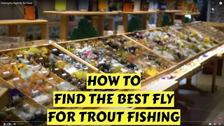 Picking the Right Fly for Trout | How To Choose