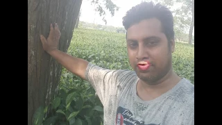 Dekh kemon lage