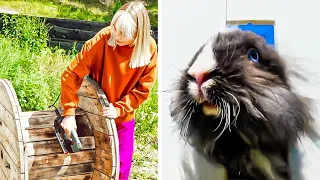 DIY PET’S HOUSES FOR YOUR LOVELY ANIMALS || Pallet Crafts by 5-minute REPAIR