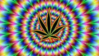 Love Marijuana