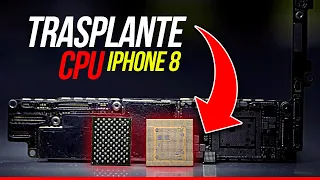iPhone 8 TRASPLANTE DE CPU - [GUIA PASO A PASO ✅] - RECUPERANDO DATOS DE UN iPhone. 😱