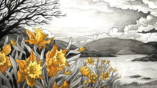 I Wandered Lonely as a Cloud by William Wordsworth. Read by Tom Burleigh.