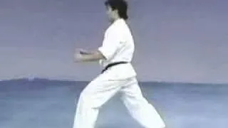 Kyokushin Sokugi Taikyoku Kata Sono San (3)