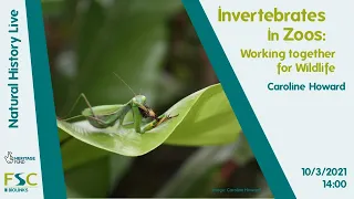 Invertebrates in Zoos: Working together for wildlife