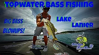 Topwater Bass Fishing | Blowups | Lake Lanier | Big Spotted Bass