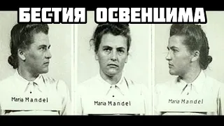 Мария Мандель — бестия Освенцима 🔥 одна из самых жестоких преступниц 🔥@ww2