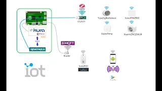 Mqtt Client Android +Tasmota + Zigbee2Mqtt + Raspberry Pi 4