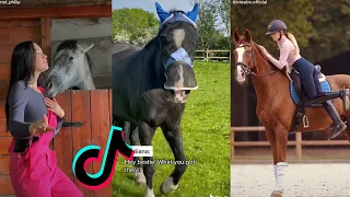 The Best HORSE TikTok Compilation 2022 #71