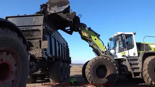 Fendt - Claas - Tebbe / Dung Streuen - Spreading Manure  BT