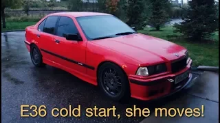 cold start of 1992 BMW 325i and first move under power for 5 years