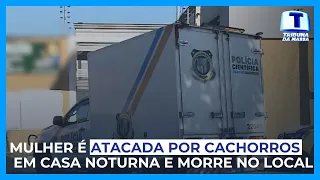 Mulher é atacada por cachorros em casa noturna e morre no local - Tribuna da Massa (06/06/2024)