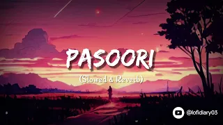 Pasoori (slowed & Reverb) | Lofi song | lofi diary
