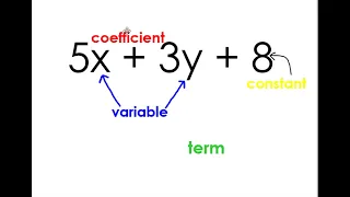 Coefficients, Constants, Variables, & Terms