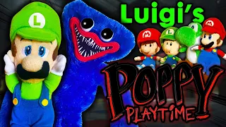 Luigi's Poppy Playtime! - Sonic and Friends