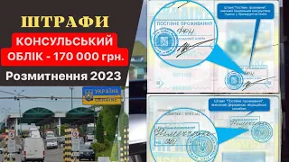 Штрафи від Митниці 170 000 грн. 🤯КОНСУЛЬСЬКИЙ ОБЛІК 2023❗️ Розмитнення авто |Митний Брокер 🇺🇦