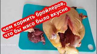 Чем кормить бройлеров, что бы мясо было вкуснее?