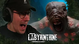 Schlechte Jumpscares und nasse Hosen feat. Brammen, Bursi & fisHC0p | Labyrinthine