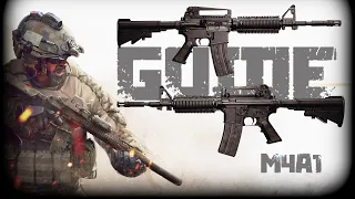 M4A1 GUN GUIDE Insurgency Sandstorm