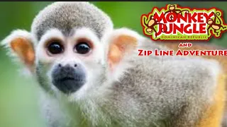 The Hidden Monkey Jungle | ZipLine Adventure in Dominican Republic #sosua #dominicanrepublictravel