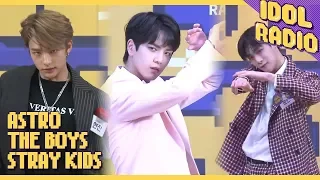 [IDOL RADIO] Special Stage of Wild Roses Boys♬