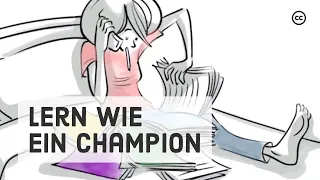 Lernen lernen: 13 Tipps aus der Gehirnforschung