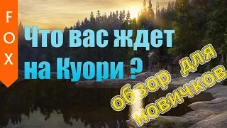 оз.Куори для новичка, что делать?