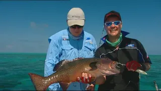 IFISHTV Mother Shipping Bligh Reef Queensland