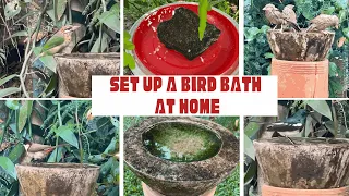 Bird Bath || An avian oasis and a bird watcher’s delight || കിളികൾക്ക് കുളിക്കാൻ ജലത്തൊട്ടി