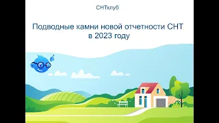 Подводные камни новой отчетности СНТ в 2023