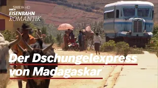 The Jungle-Express of Madagscar