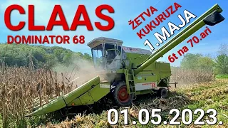 Zetva Kukuruza u Maju 01.05.2023. Claas Dominator 68 | Corn Harvest
