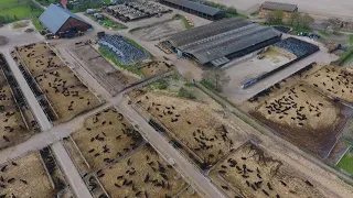 Britain's beef-lots filmed from the sky