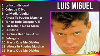 Luis Miguel 2024 MIX Las Mejores Canciones - La Incondicional, Culpabe O No, La Media Vuelta, Ah...