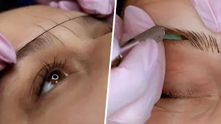 FULL MICROBLADING PROCESS - STEP BY STEP