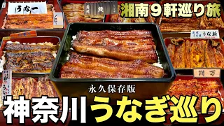 【永久保存版】神奈川の鰻屋9軒を一挙大公開！『湘南の巻』飯テロ/Japanese Street Food Grilled/Eel Master