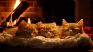 Fall asleep to Family Cat's Purr & Warm Fireplace 🔥 Relax in Cozy Winter Hut, Deep Sleep