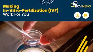 Webinar: Making In-Vitro-Fertilization (IVF) Work For You