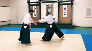 Айкидо. Marenkov Andrei, 6 Dan Aikido Aikikai