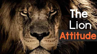 Motivational Video | Being a Lion at Heart: The Lion Attitude