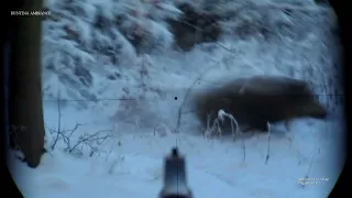 Wild boar driven hunting really cold -14°C