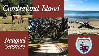 Explore Cumberland Island National Seashore