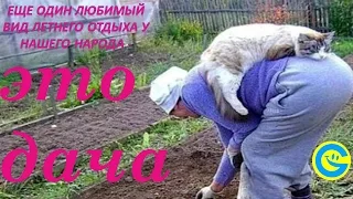 Смешное прикольное видео # 12  Дачный сезон открыт!!!